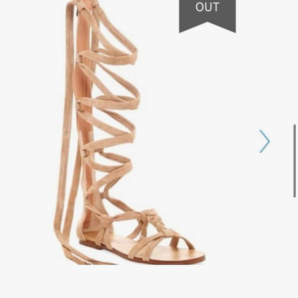 Sigerson Morrison Gladiator Knee-High Lace-Up Sandals - Beige
